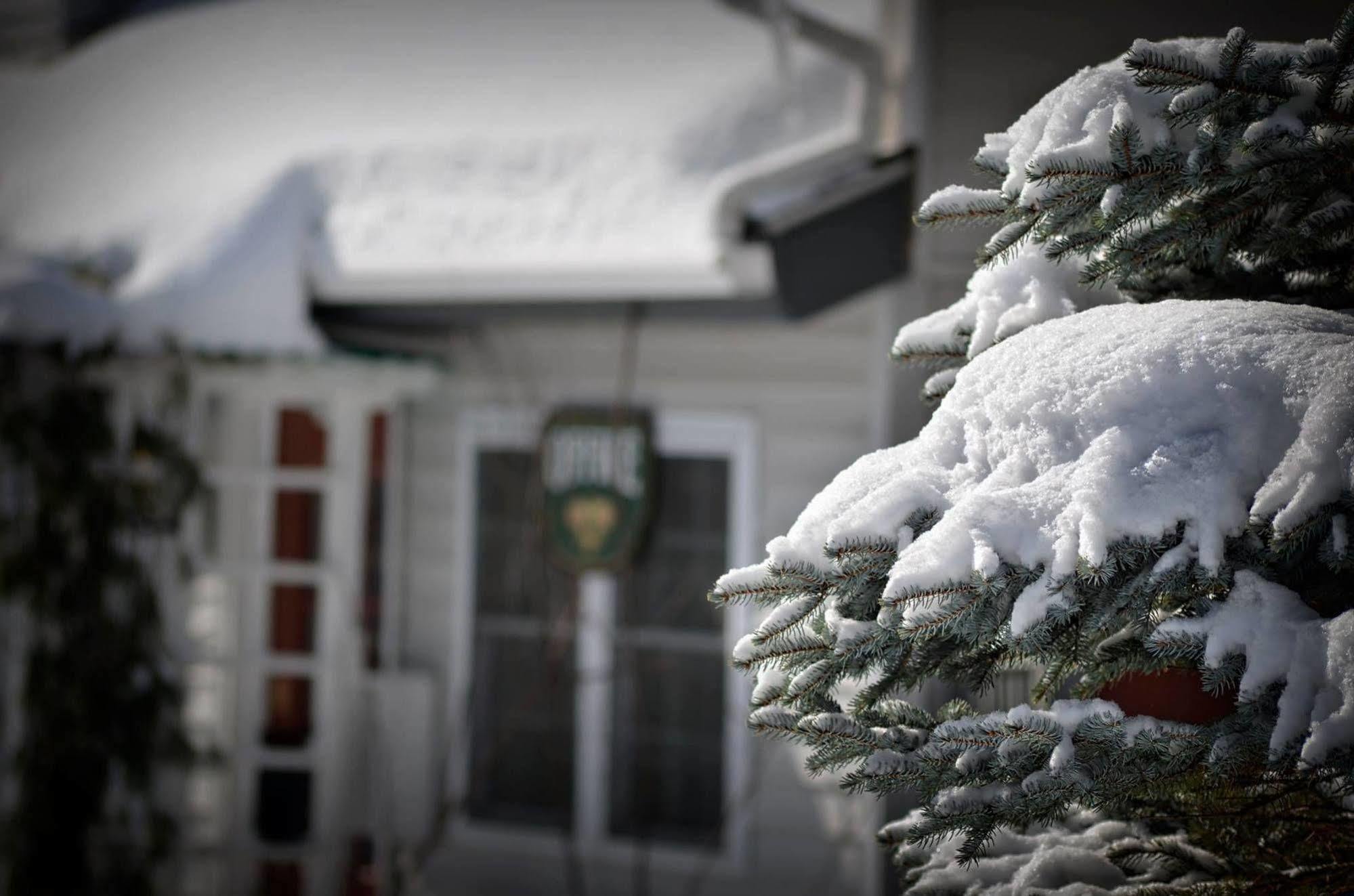 Harwood Hill Motel Беннінґтон Екстер'єр фото
